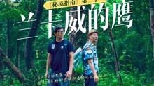 小球进黑洞